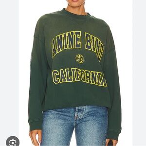 Anine Bing Jaci Sweatshirt in Washed Faded Green